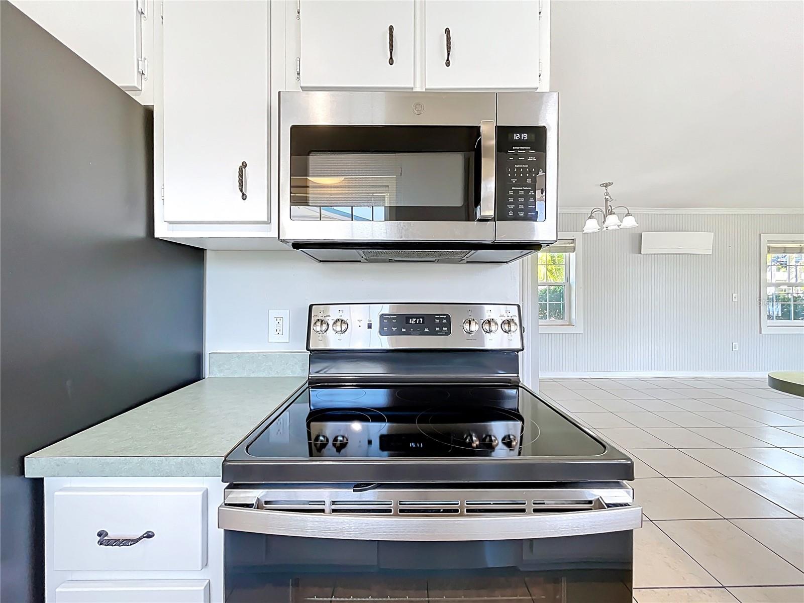 193 BAY RD, MOUNT DORA, FL, 32757