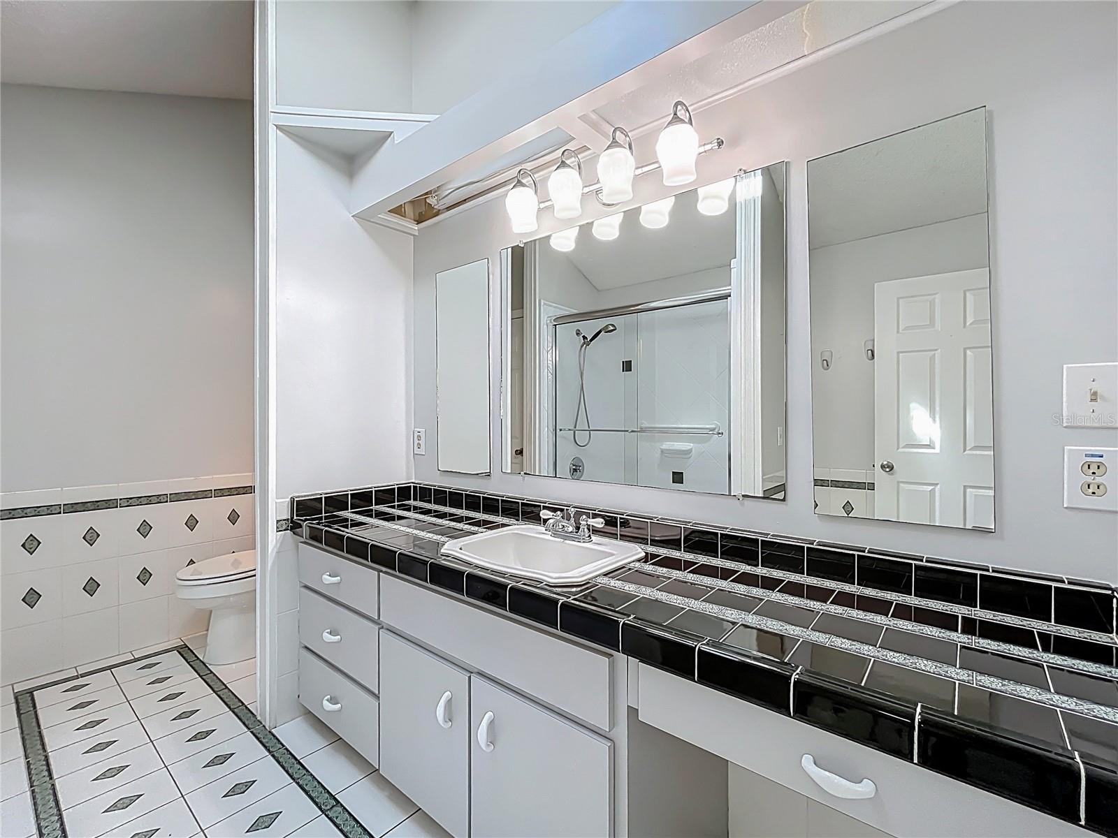 193 BAY RD, MOUNT DORA, FL, 32757