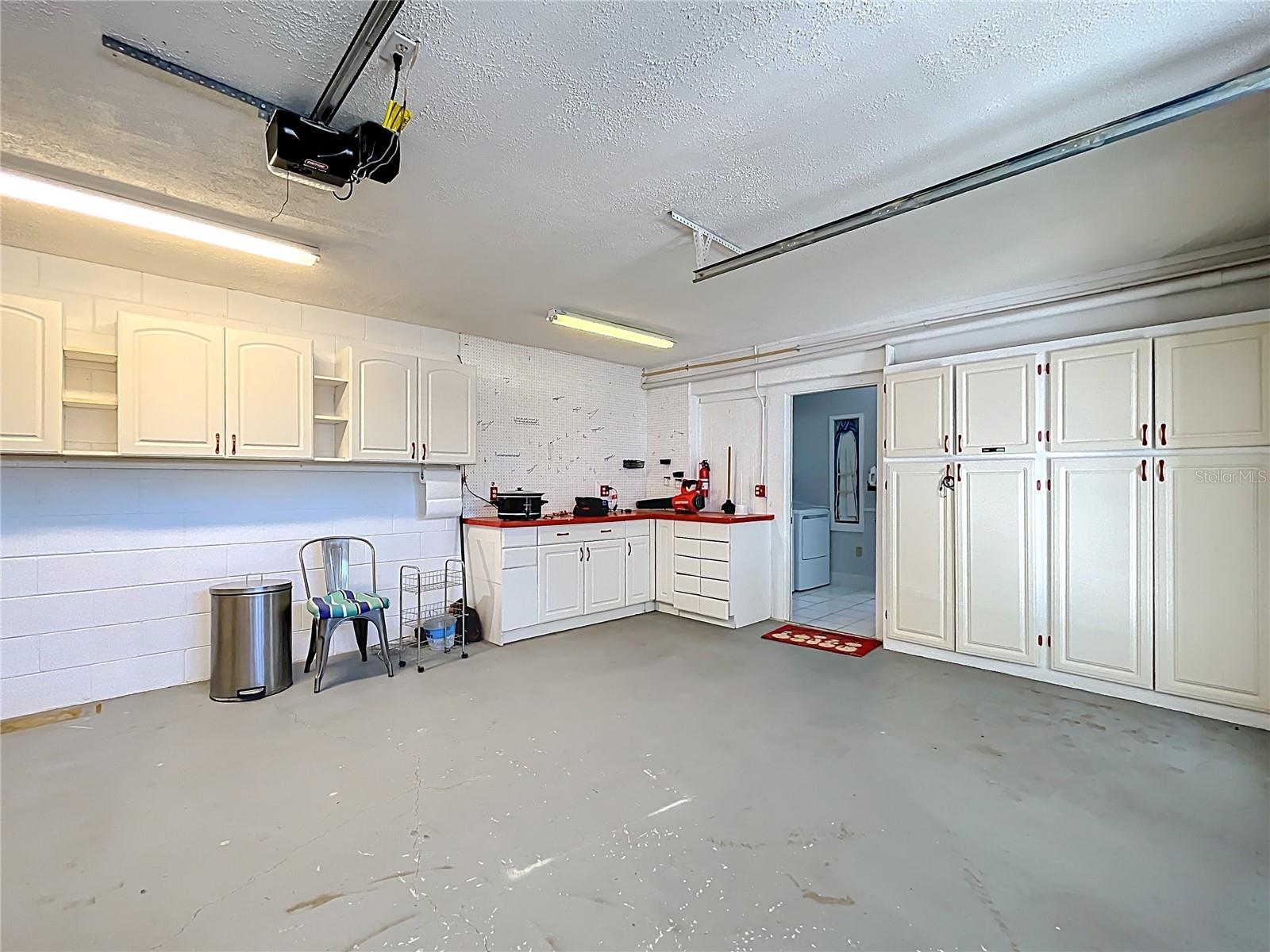 193 BAY RD, MOUNT DORA, FL, 32757