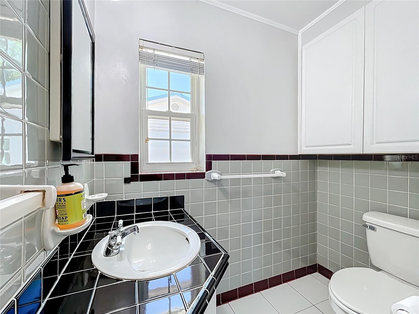 193 BAY RD, MOUNT DORA, FL, 32757