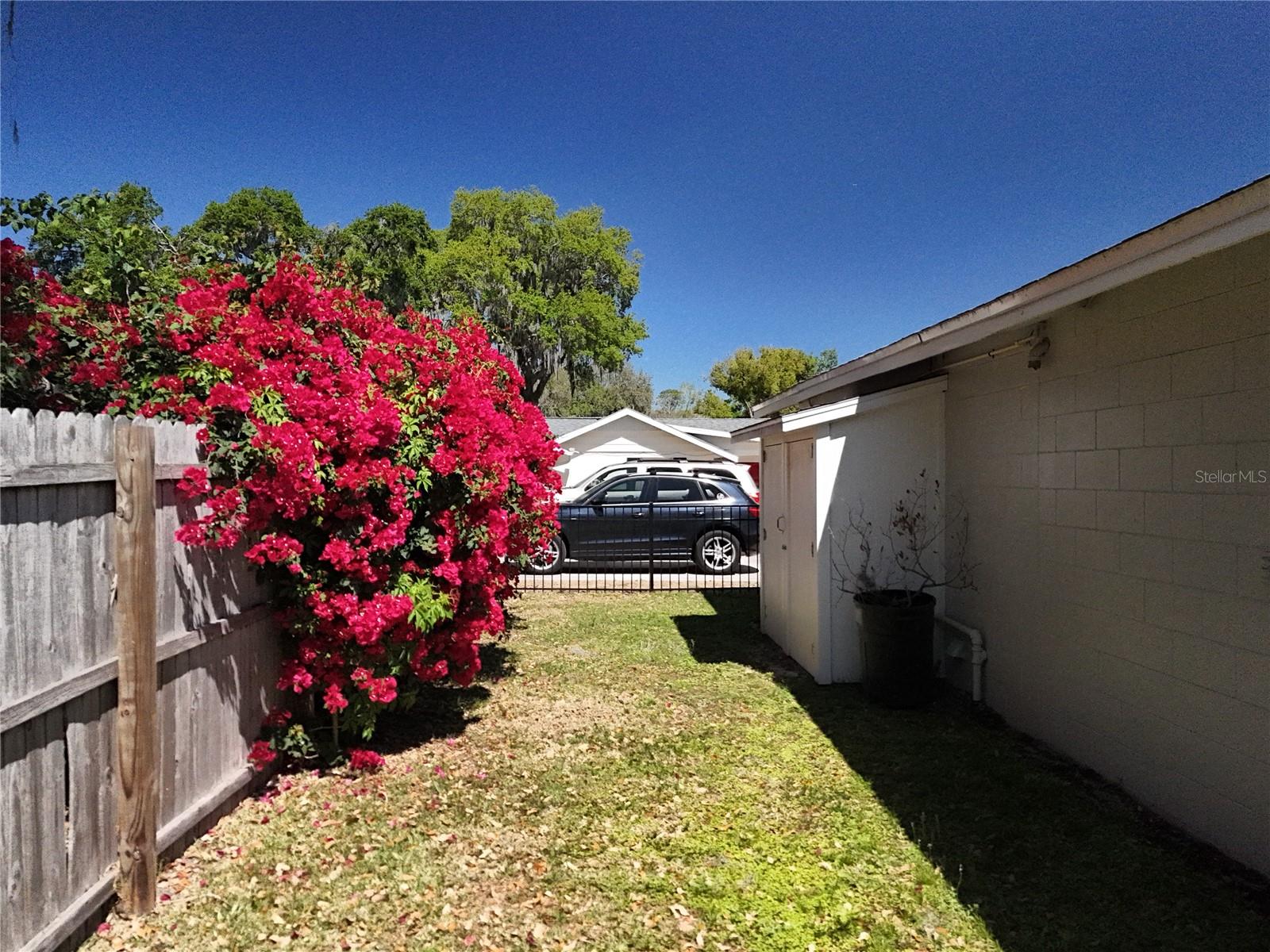 193 BAY RD, MOUNT DORA, FL, 32757