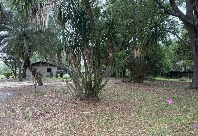 3410 SE 12TH ST, OCALA, FL, 34471