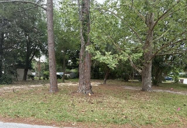 3410 SE 12TH ST, OCALA, FL, 34471