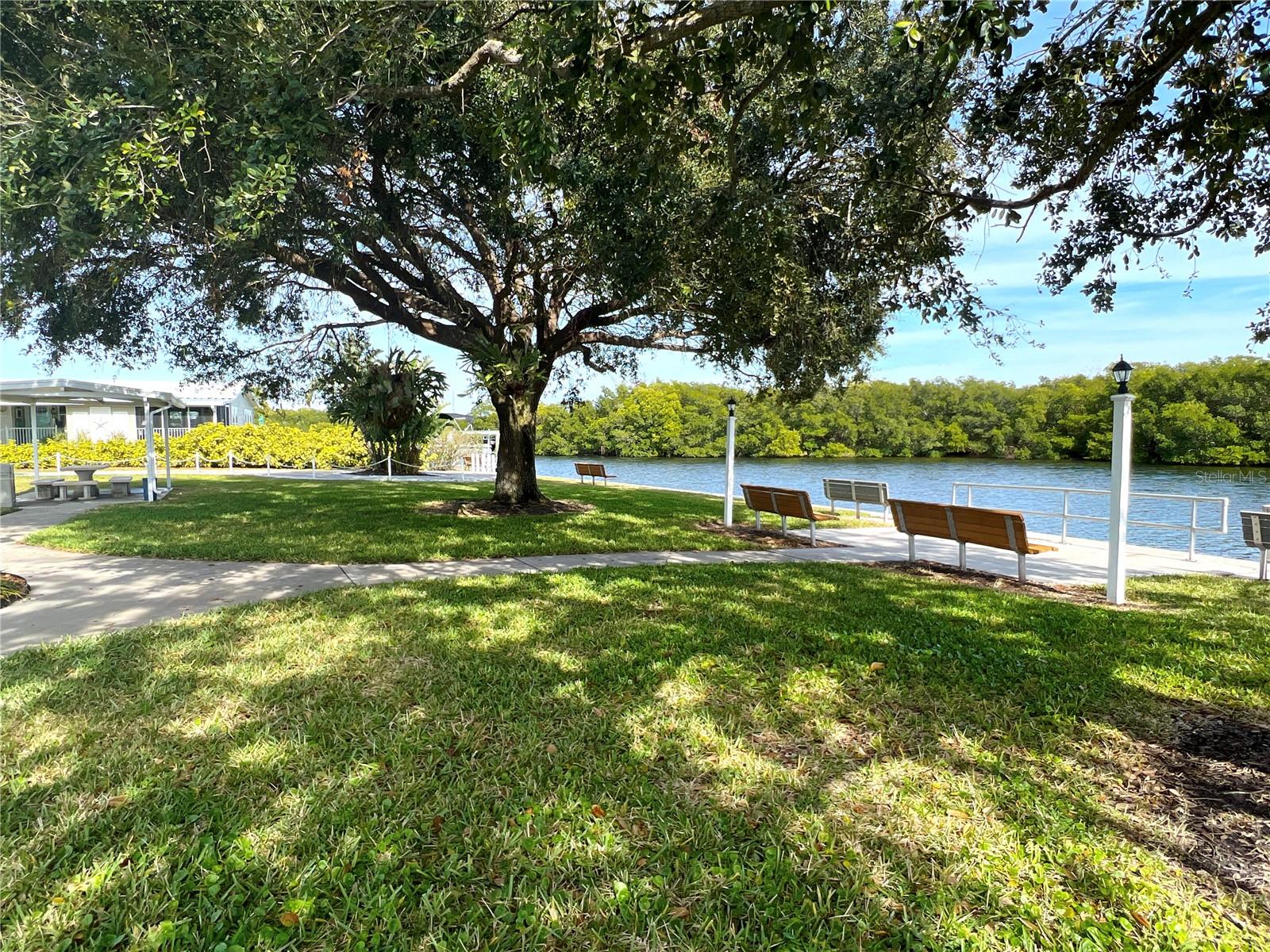 6826 MOUNT ORANGE DR NE #383, ST PETERSBURG, FL, 33702
