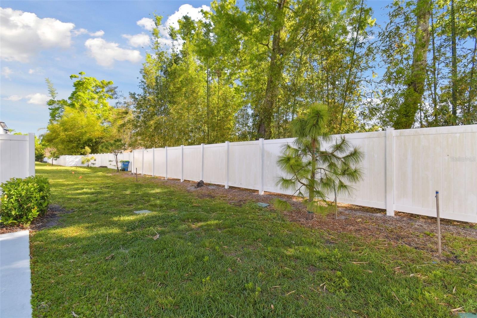 4326 BANJO LAKE RD, LAND O LAKES, FL, 34639