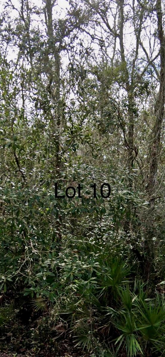0 MEDICINE STONE DR #10, WEBSTER, FL, 33597