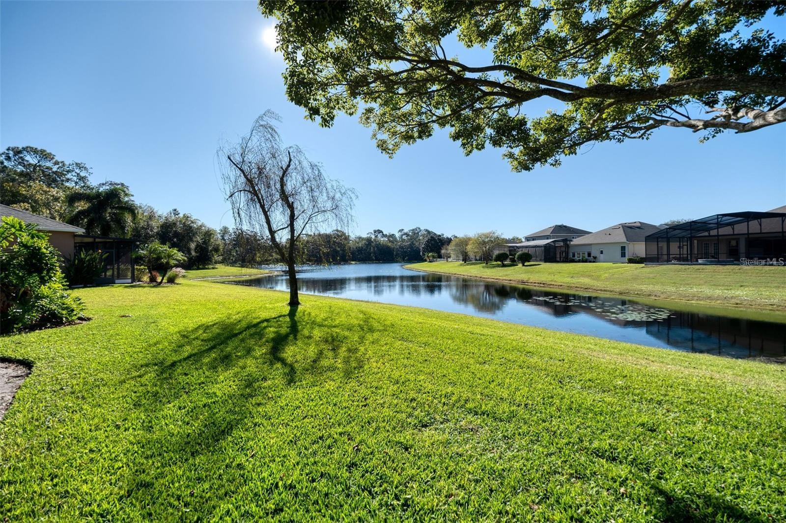 9651 OLD MARSH CT, ORLANDO, FL, 32832