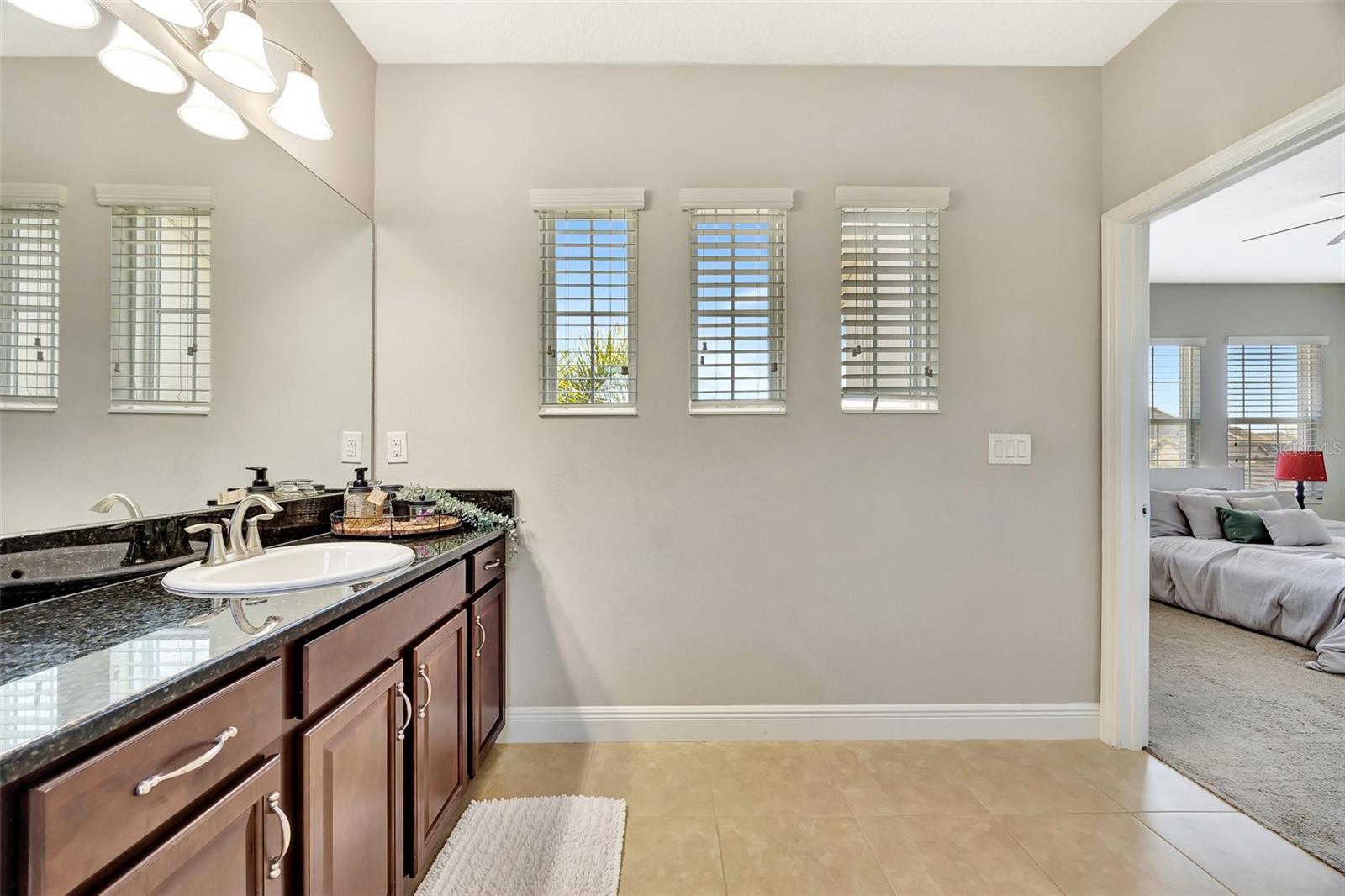 6324 BREVADA LN, APOLLO BEACH, FL, 33572