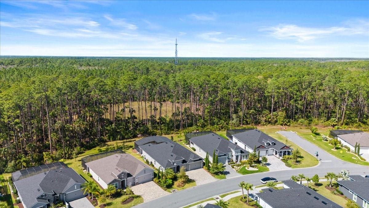 354 STIRLING BRIDGE DR, ORMOND BEACH, FL, 32174