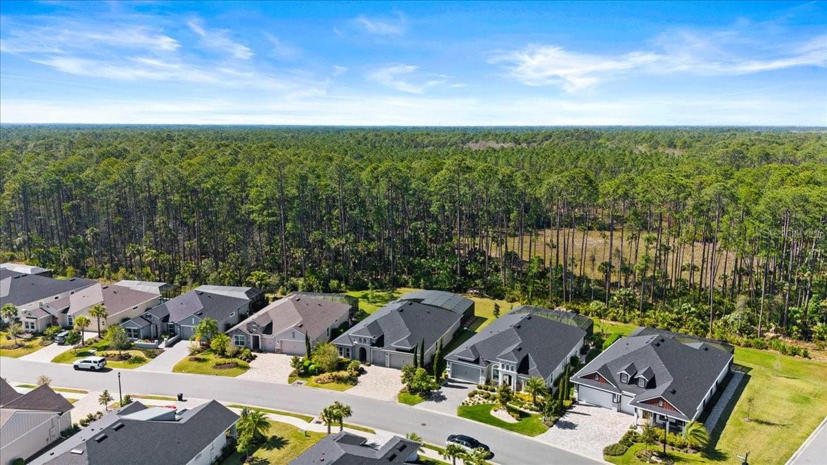 354 STIRLING BRIDGE DR, ORMOND BEACH, FL, 32174