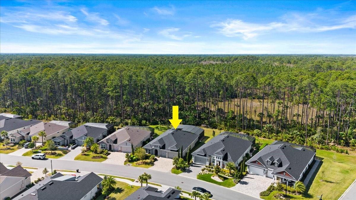 354 STIRLING BRIDGE DR, ORMOND BEACH, FL, 32174