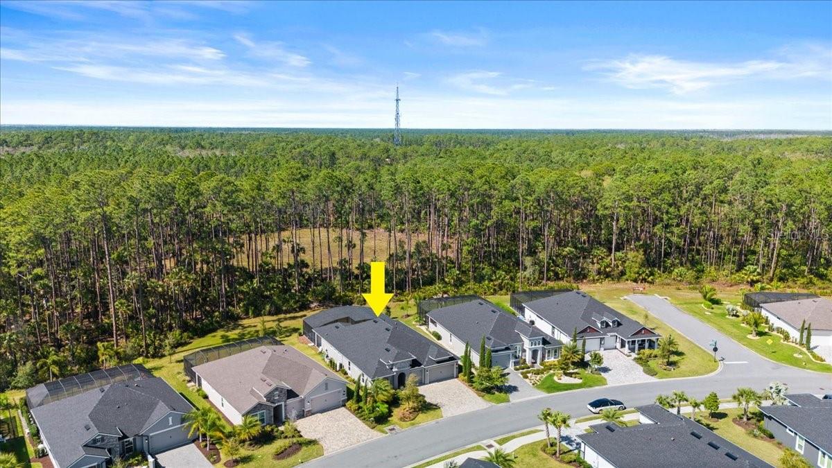 354 STIRLING BRIDGE DR, ORMOND BEACH, FL, 32174