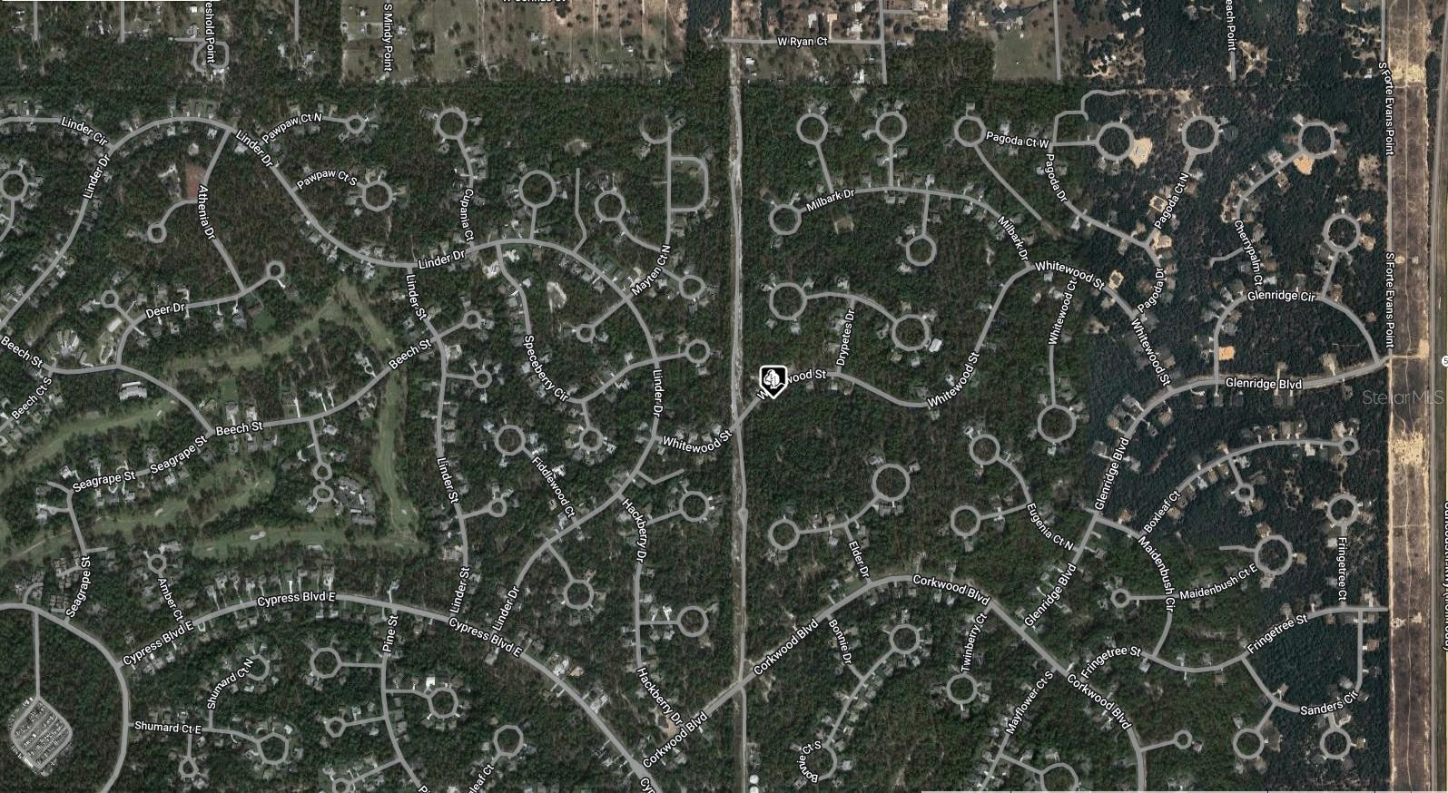 19 WHITEWOOD ST, HOMOSASSA, FL, 34446