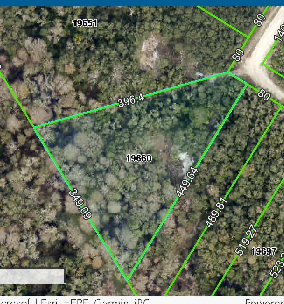 MEDICINE STONE DR #Lot 9, WEBSTER, FL, 33597