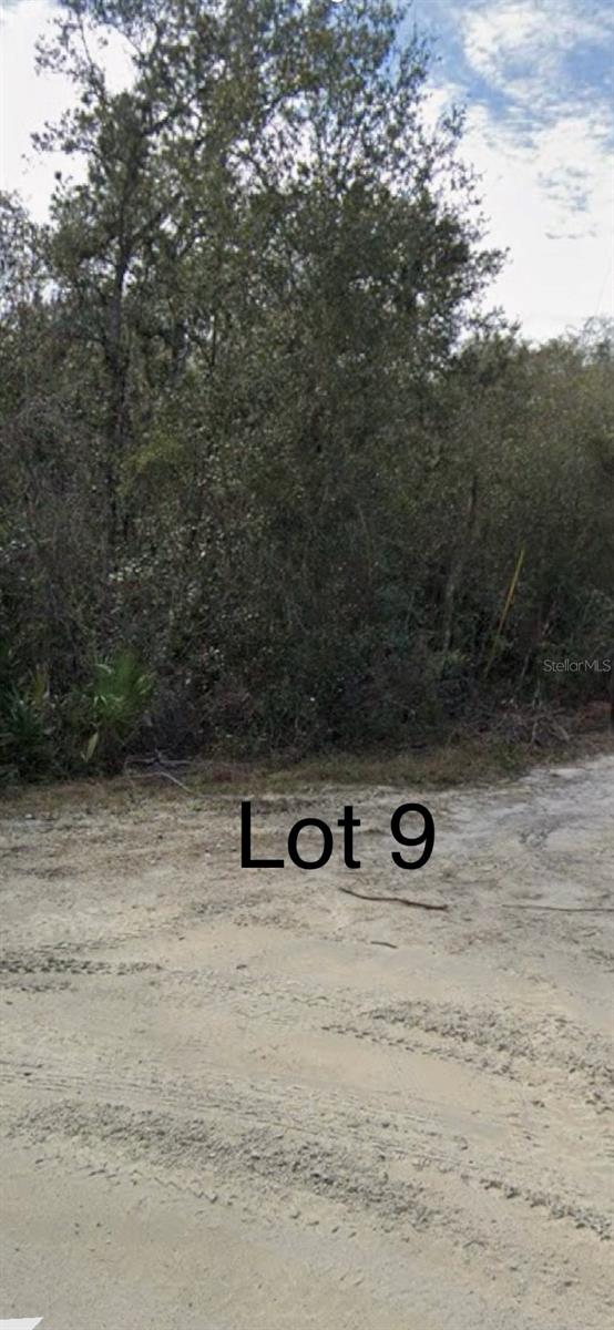 MEDICINE STONE DR #Lot 9, WEBSTER, FL, 33597