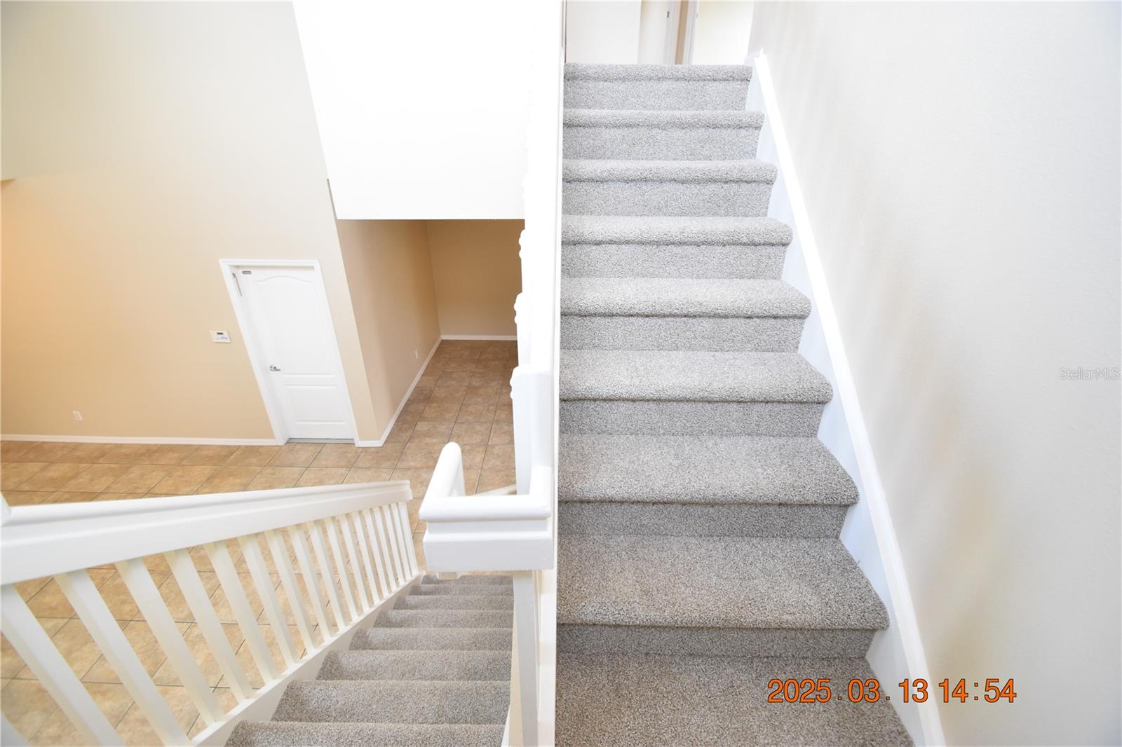 20034 NOB OAK AVE, TAMPA, FL, 33647
