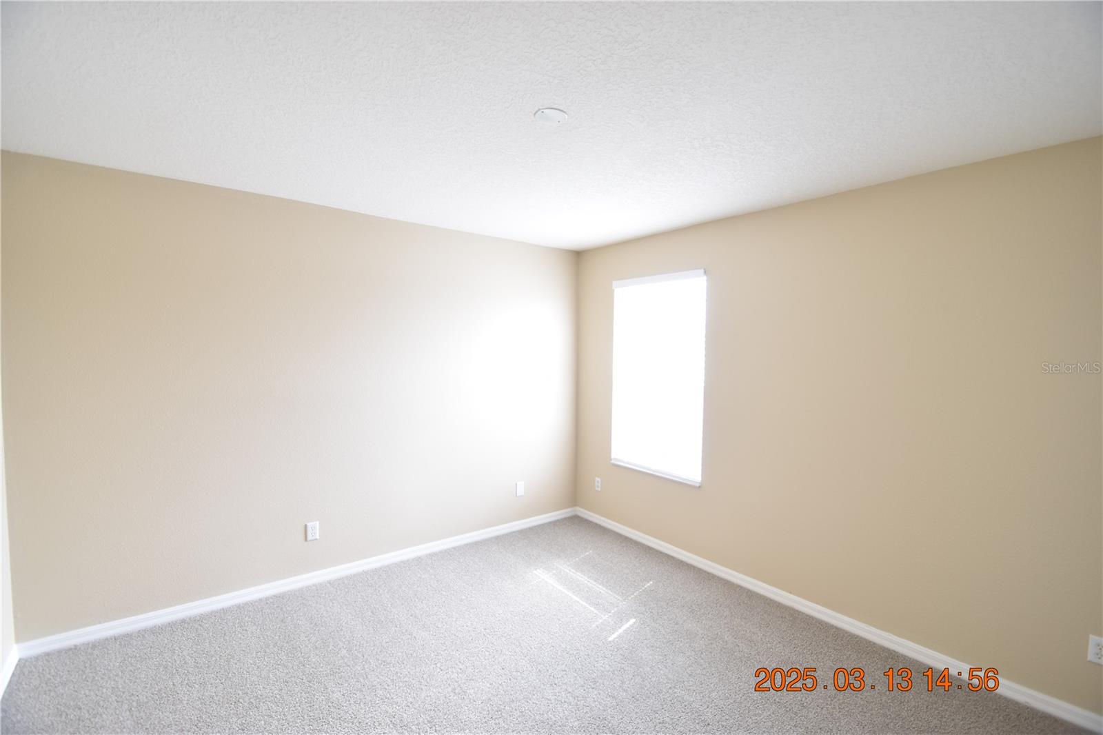 20034 NOB OAK AVE, TAMPA, FL, 33647