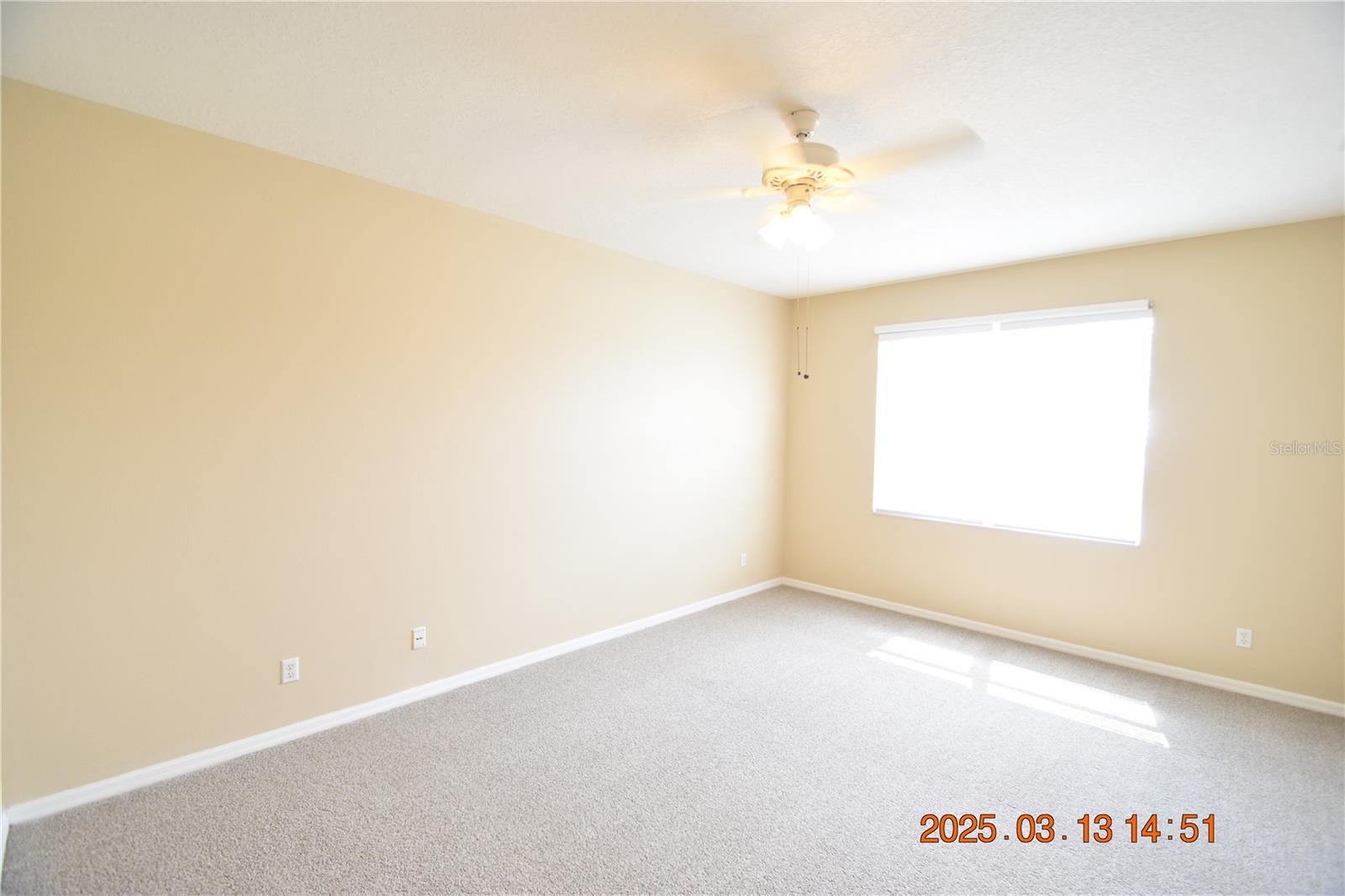20034 NOB OAK AVE, TAMPA, FL, 33647