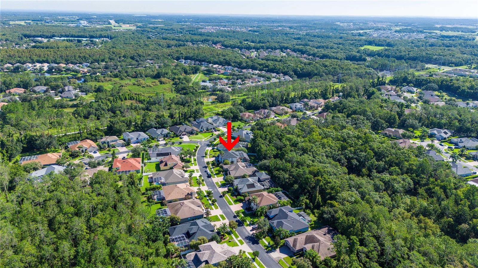 27524 PINE POINT DR, WESLEY CHAPEL, FL, 33544