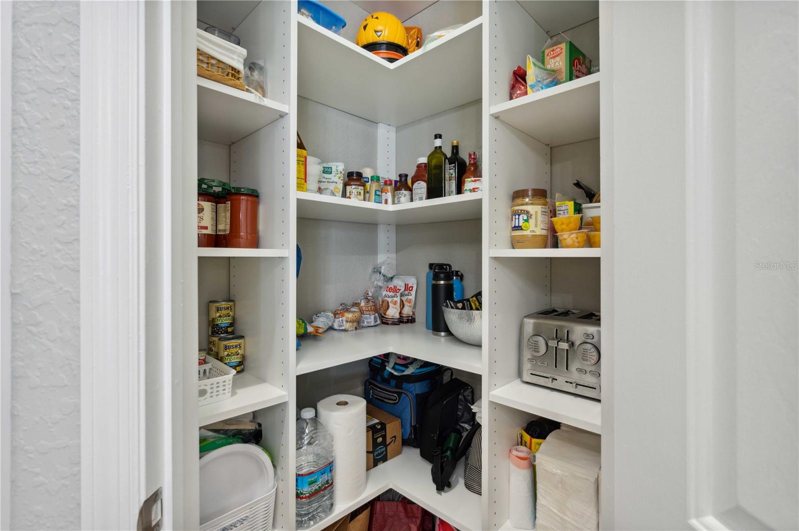 27524 PINE POINT DR, WESLEY CHAPEL, FL, 33544