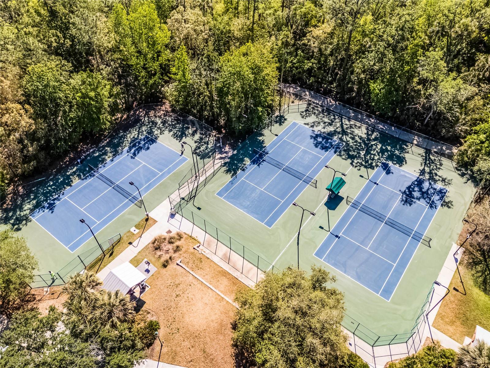 604 MULBERRY AVE #1201, KISSIMMEE, FL, 34747