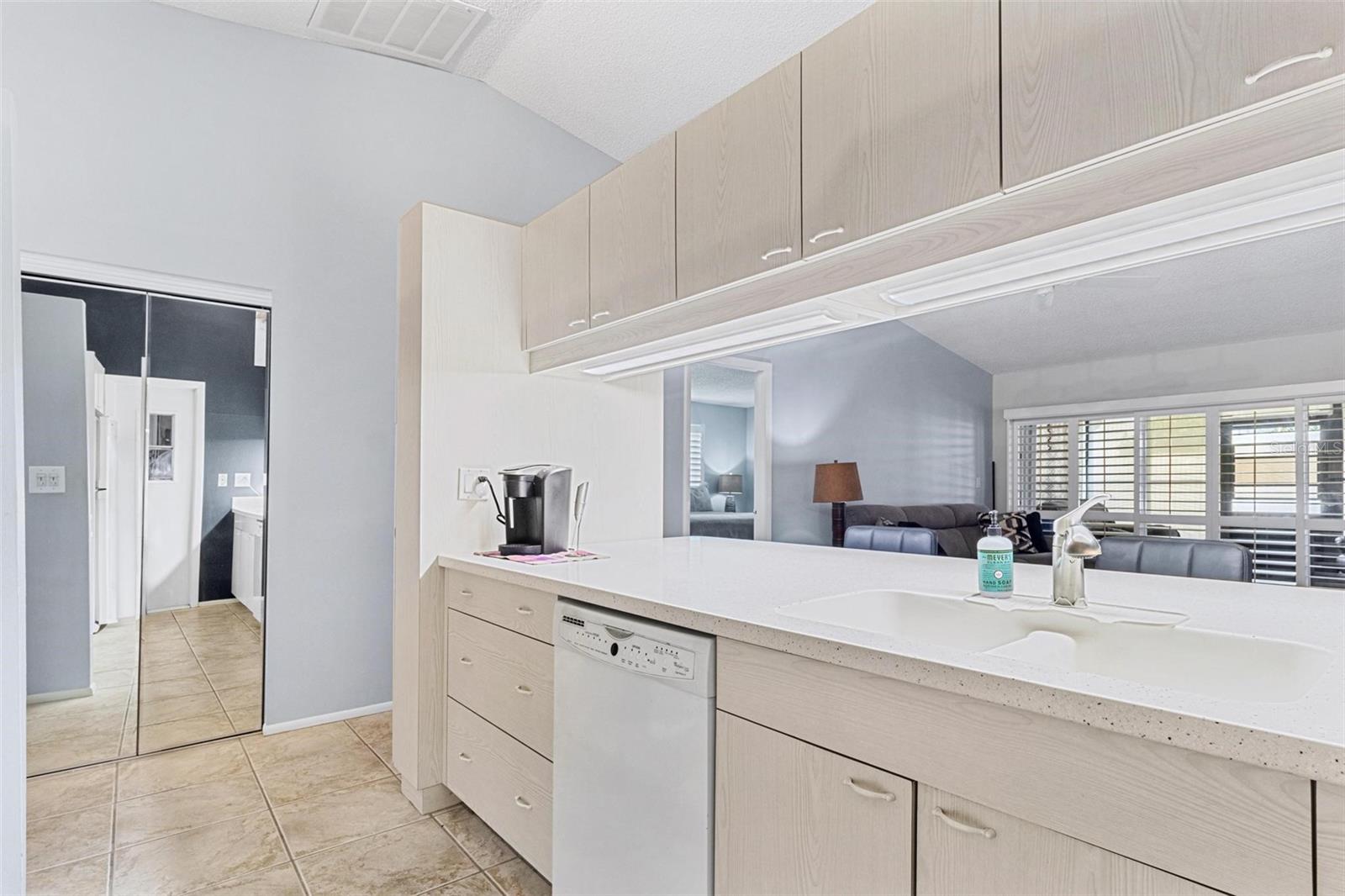 1497 HEATHER RIDGE BLVD, DUNEDIN, FL, 34698
