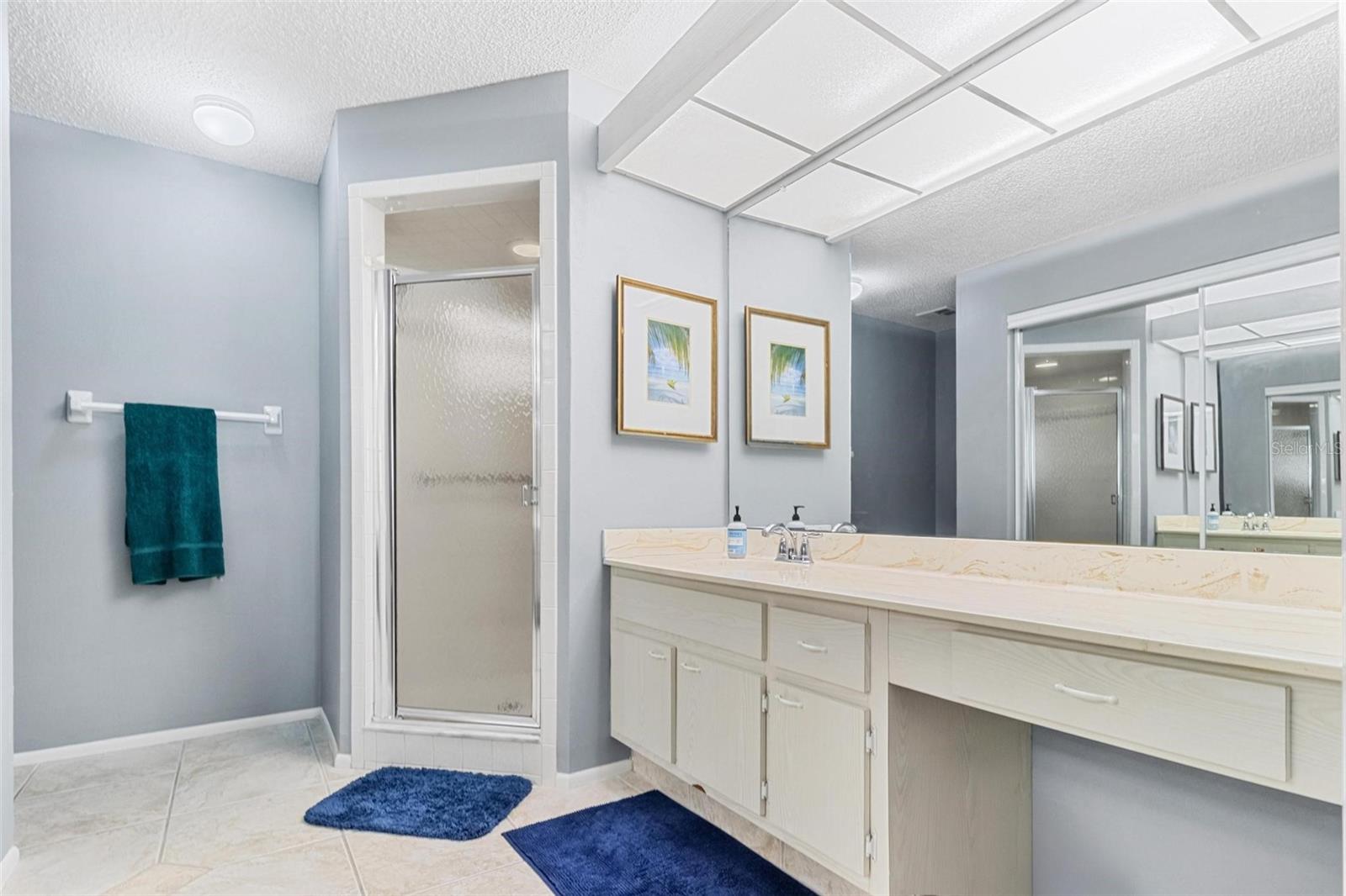 1497 HEATHER RIDGE BLVD, DUNEDIN, FL, 34698