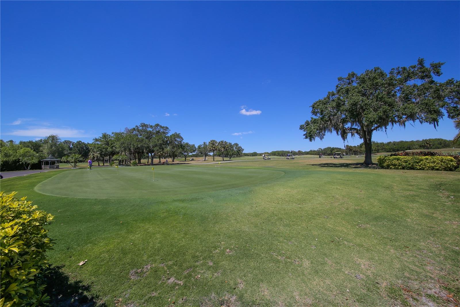 3617 WILD BLOSSOM PL, PARRISH, FL, 34219