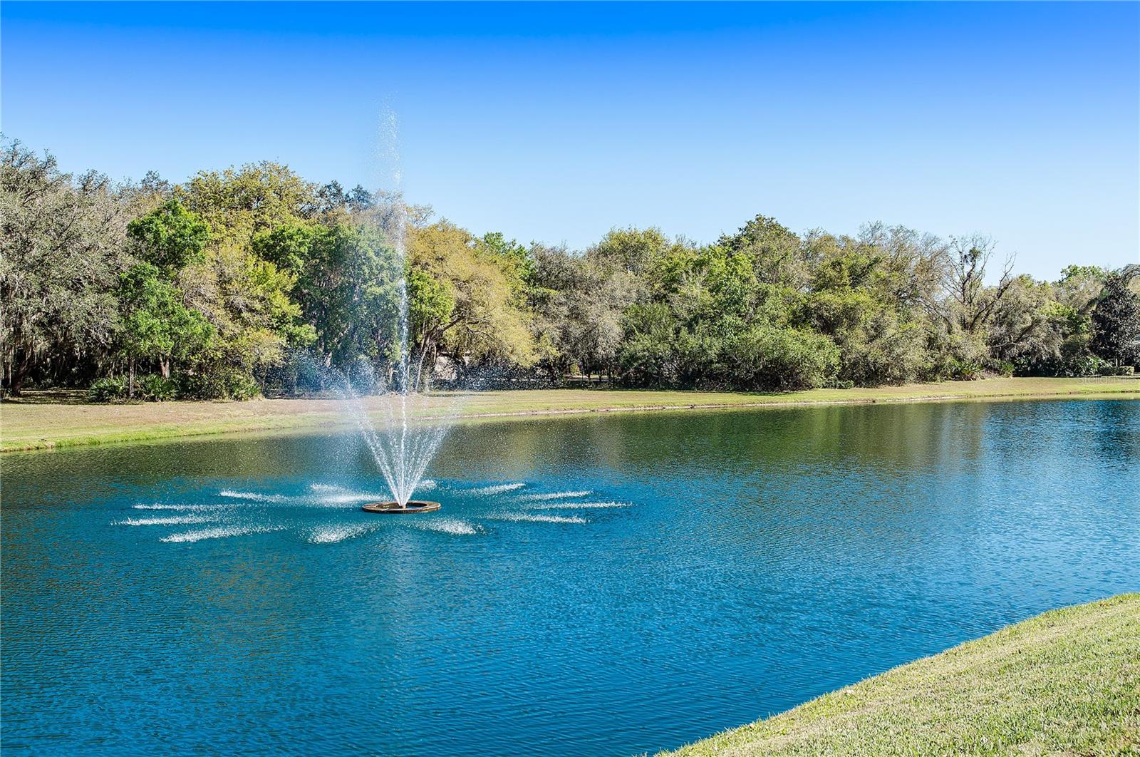 3617 WILD BLOSSOM PL, PARRISH, FL, 34219
