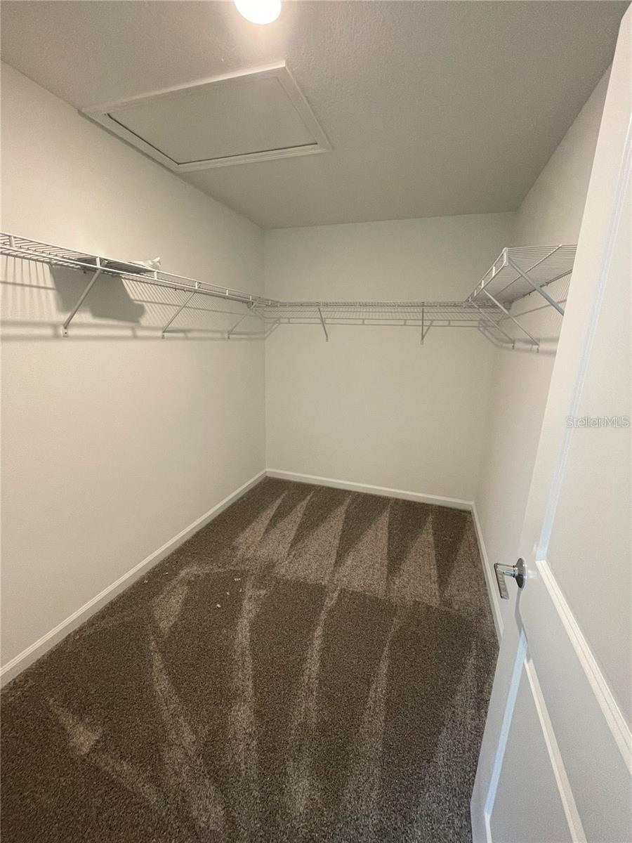 11367 GREAT ROCK ST, WINTER GARDEN, FL, 34787
