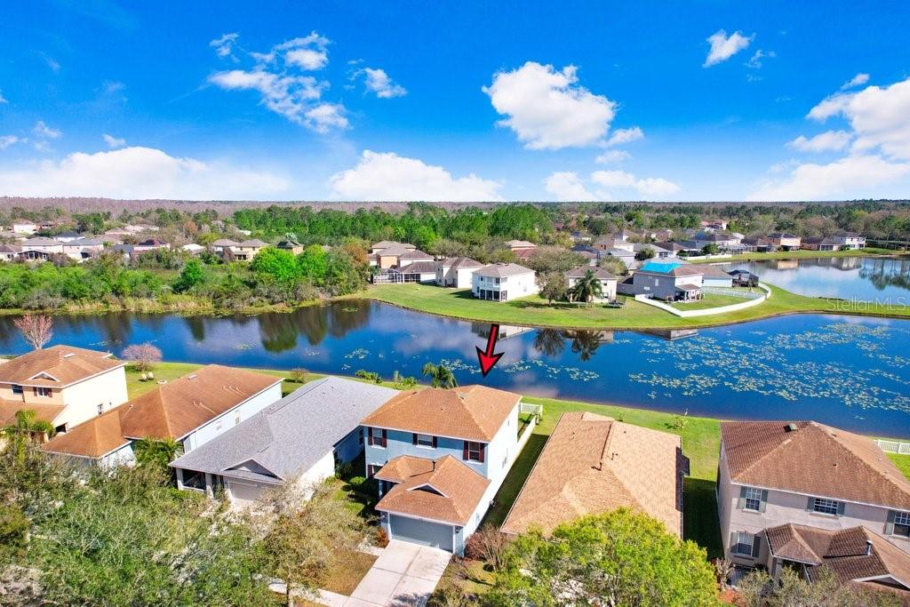 20631 GREAT LAUREL AVE, TAMPA, FL, 33647