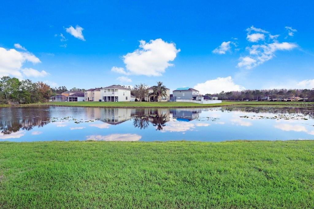 20631 GREAT LAUREL AVE, TAMPA, FL, 33647