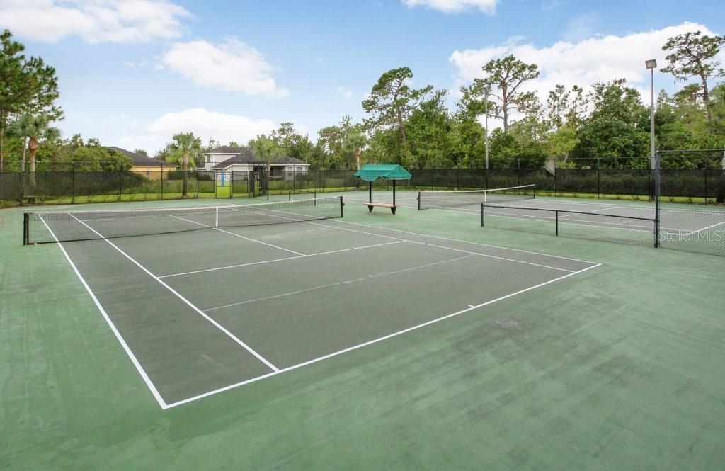 20631 GREAT LAUREL AVE, TAMPA, FL, 33647