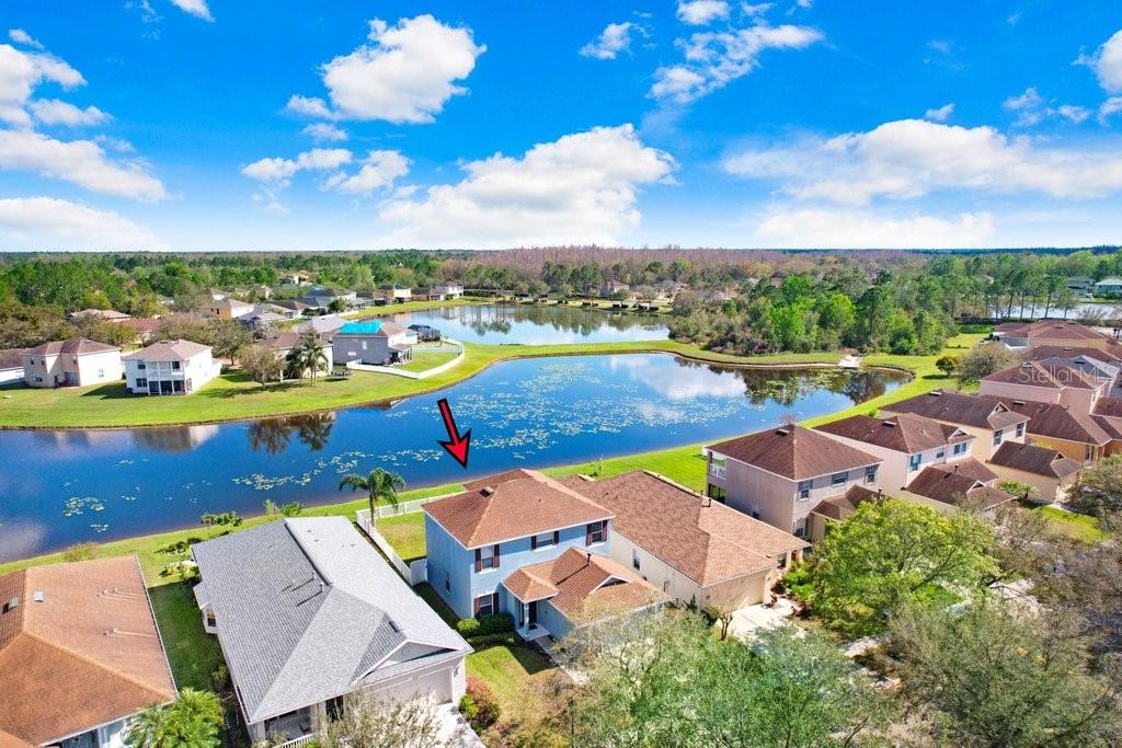 20631 GREAT LAUREL AVE, TAMPA, FL, 33647