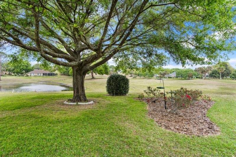6106 SPINNAKER LOOP, LADY LAKE, FL, 32159