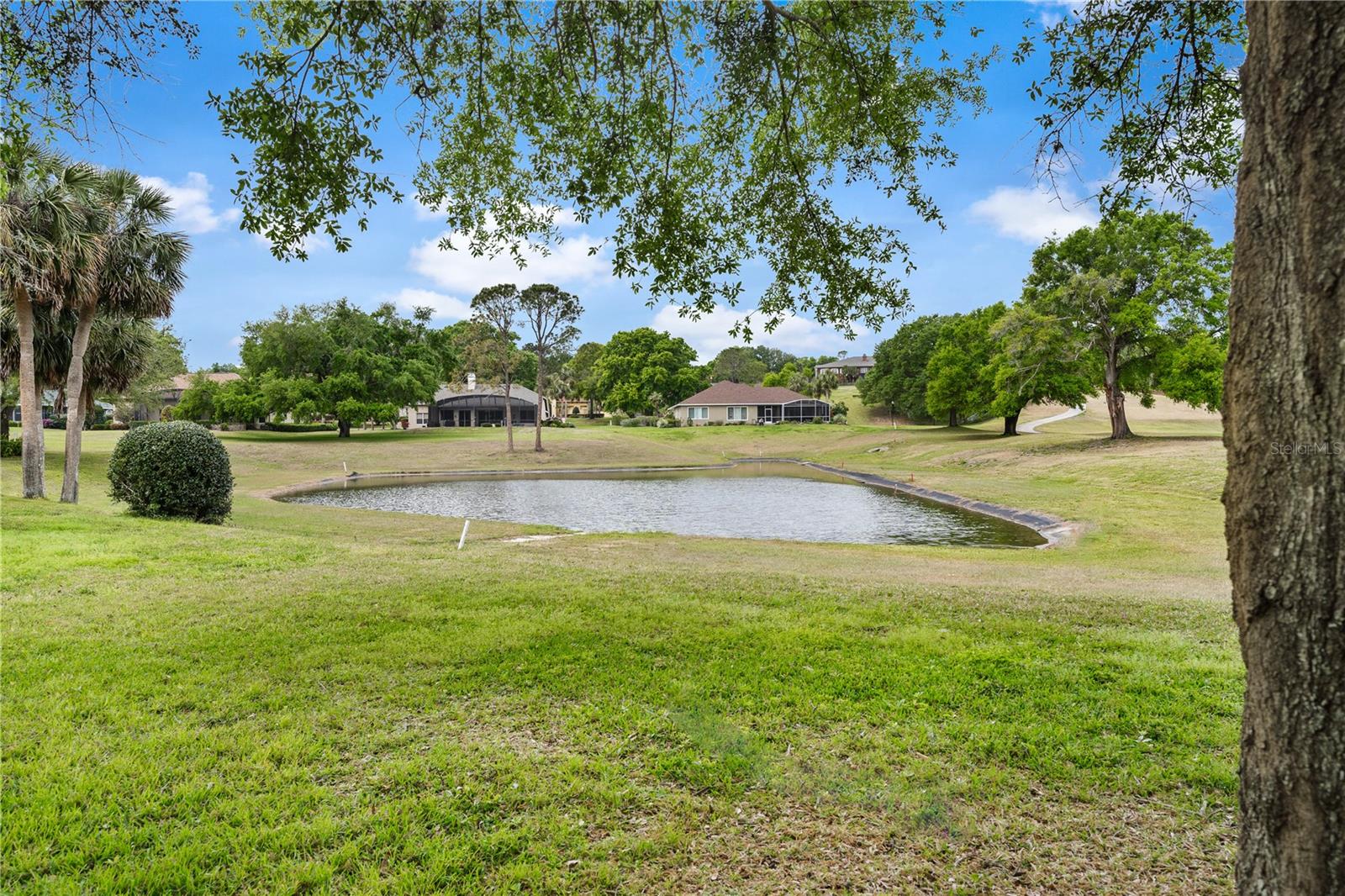 6106 SPINNAKER LOOP, LADY LAKE, FL, 32159