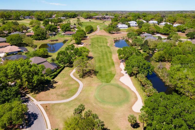 6106 SPINNAKER LOOP, LADY LAKE, FL, 32159