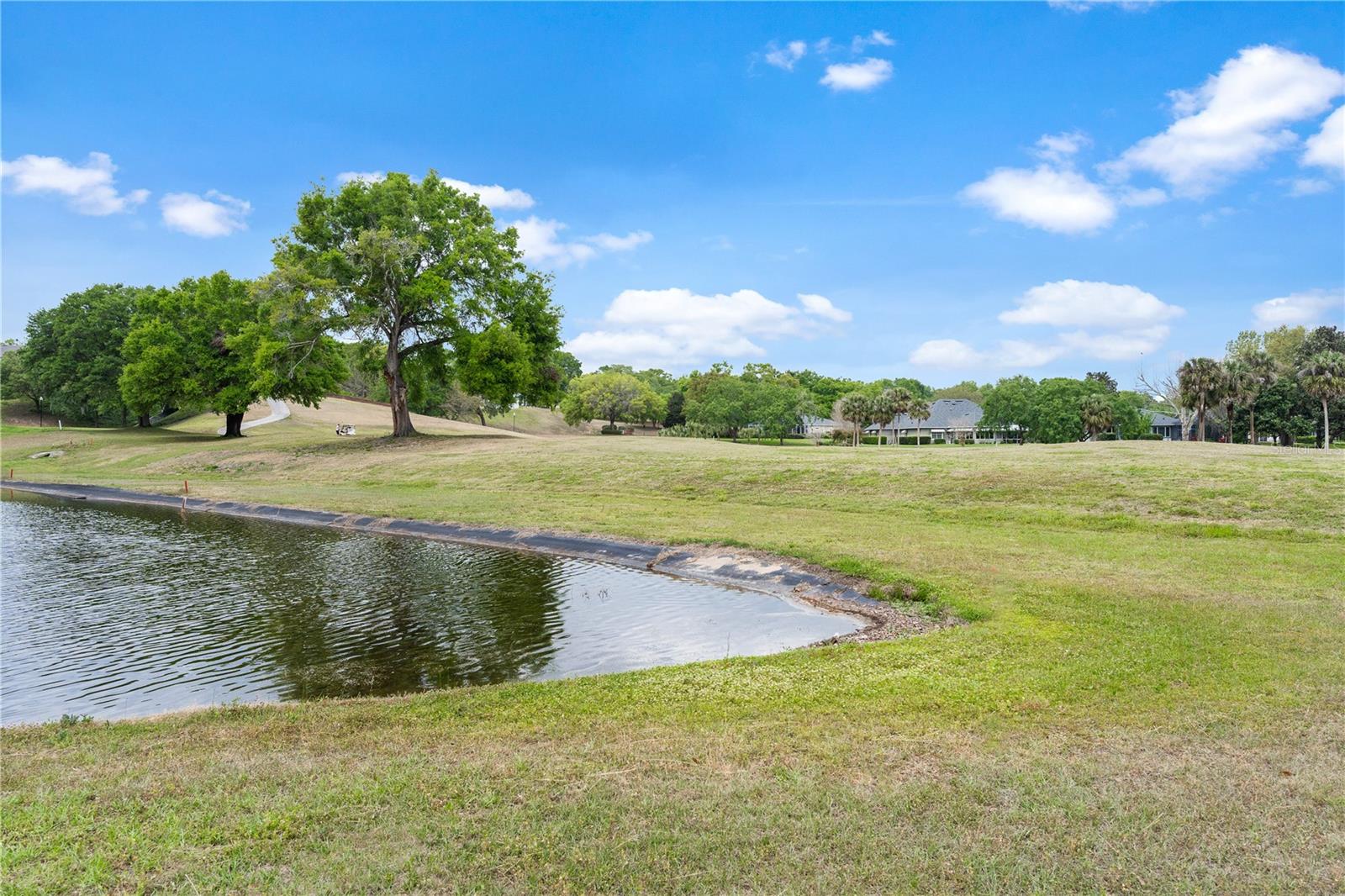 6106 SPINNAKER LOOP, LADY LAKE, FL, 32159