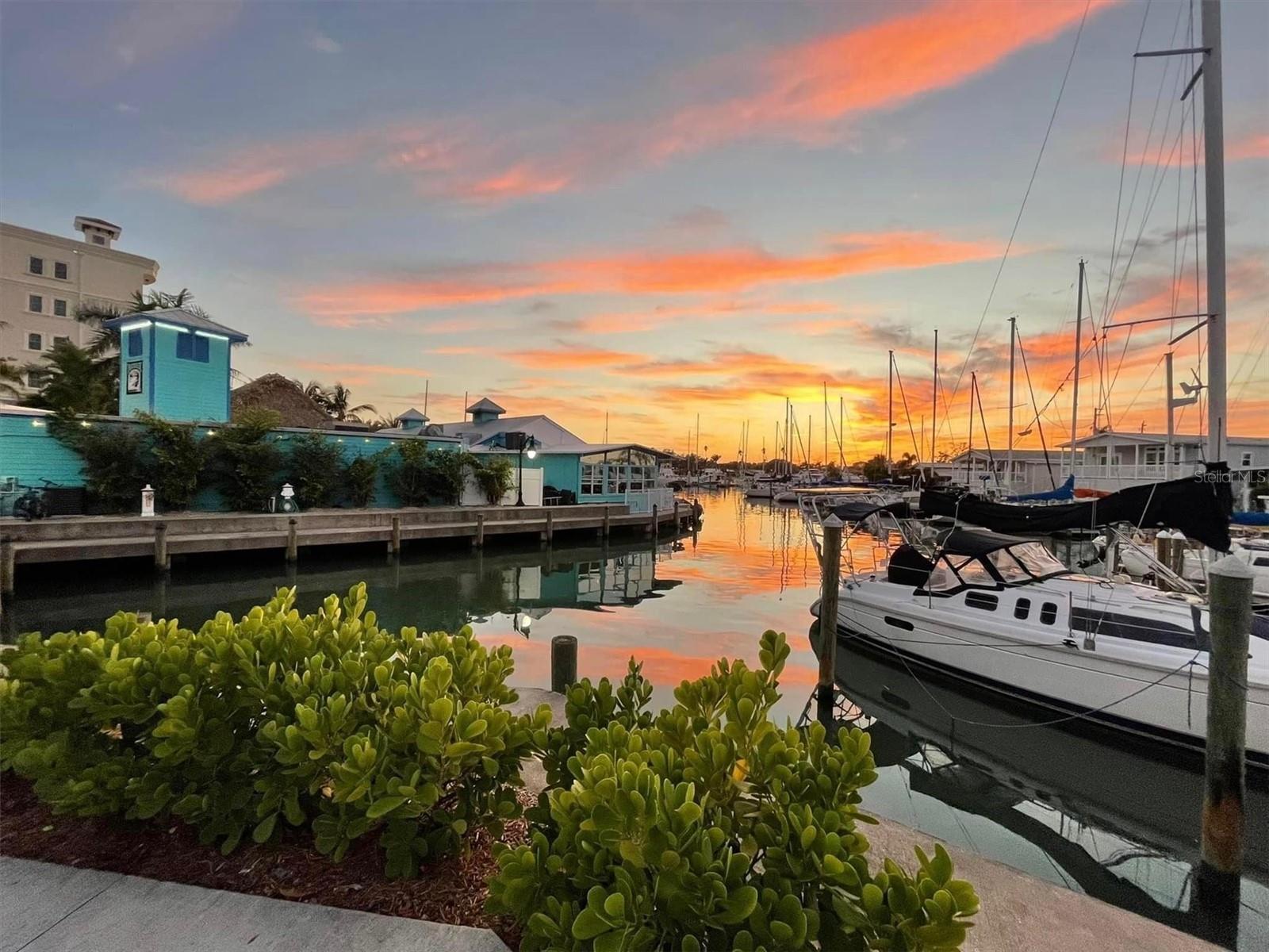 505 N TAMIAMI TRAIL #202, VENICE, FL, 34285