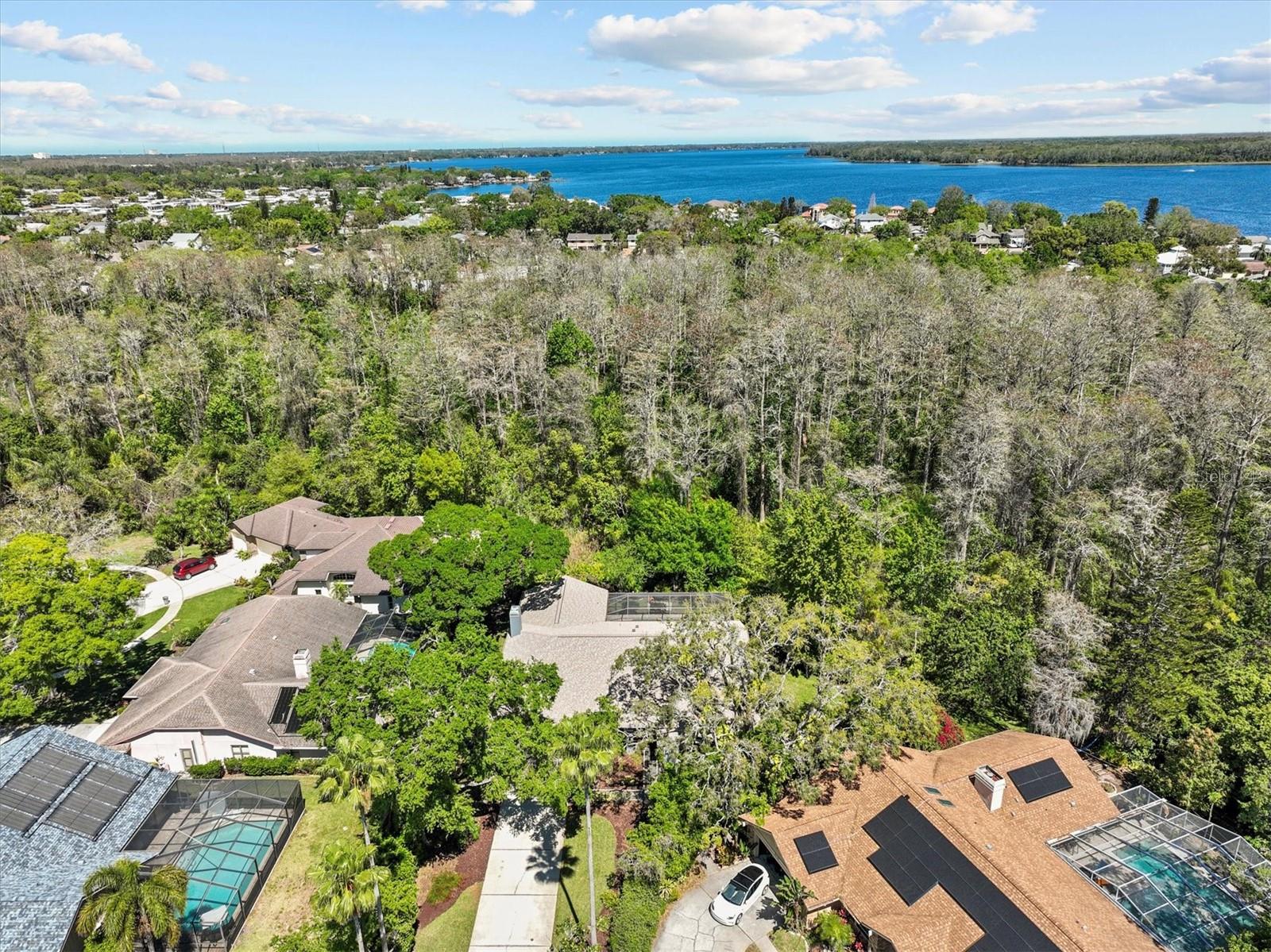 3267 WESTCOTT CT, PALM HARBOR, FL, 34684