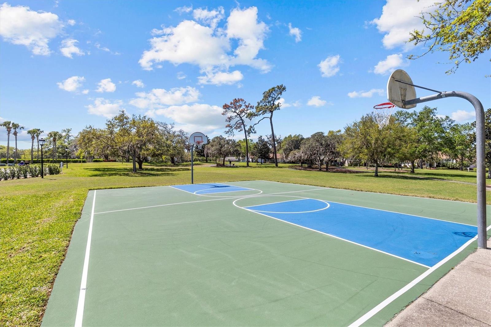 3267 WESTCOTT CT, PALM HARBOR, FL, 34684