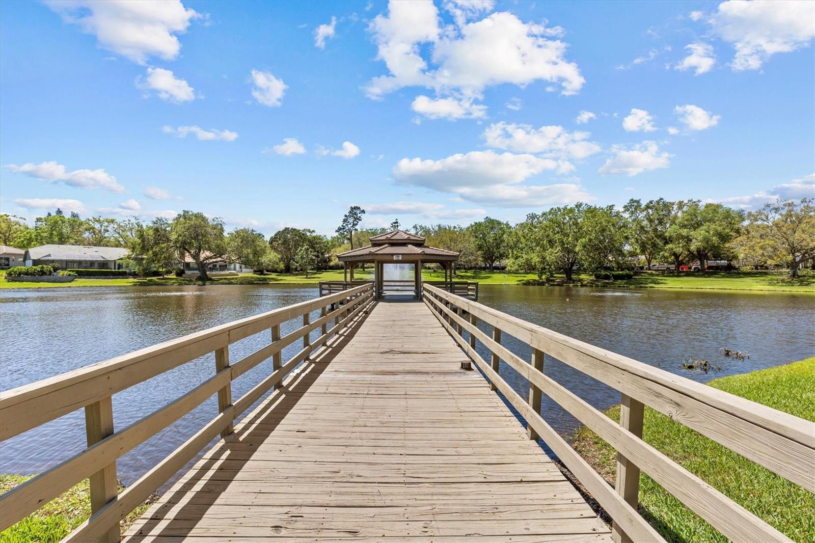 3267 WESTCOTT CT, PALM HARBOR, FL, 34684