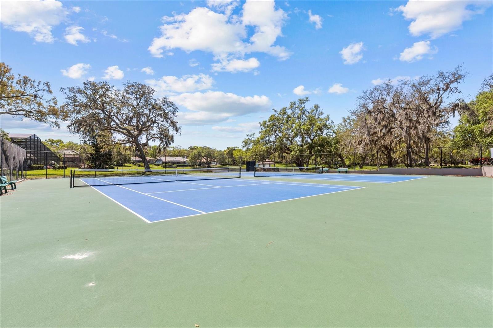 3267 WESTCOTT CT, PALM HARBOR, FL, 34684
