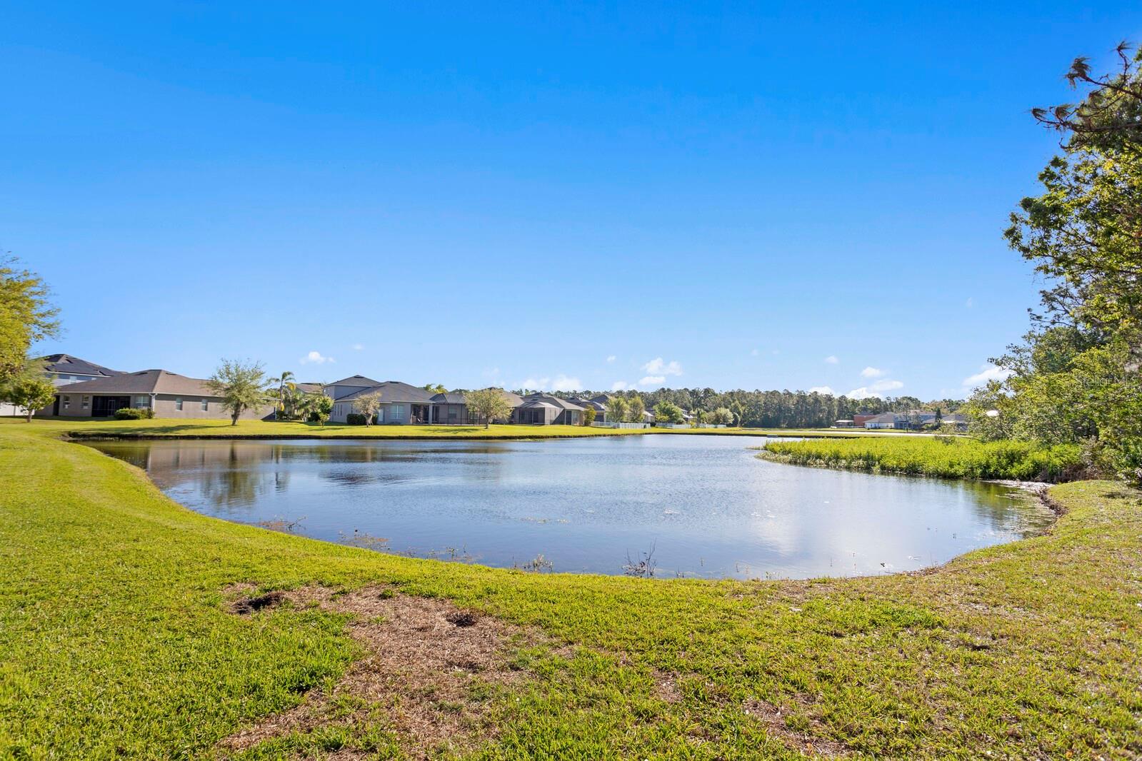 20119 OAKFLOWER AVE, TAMPA, FL, 33647