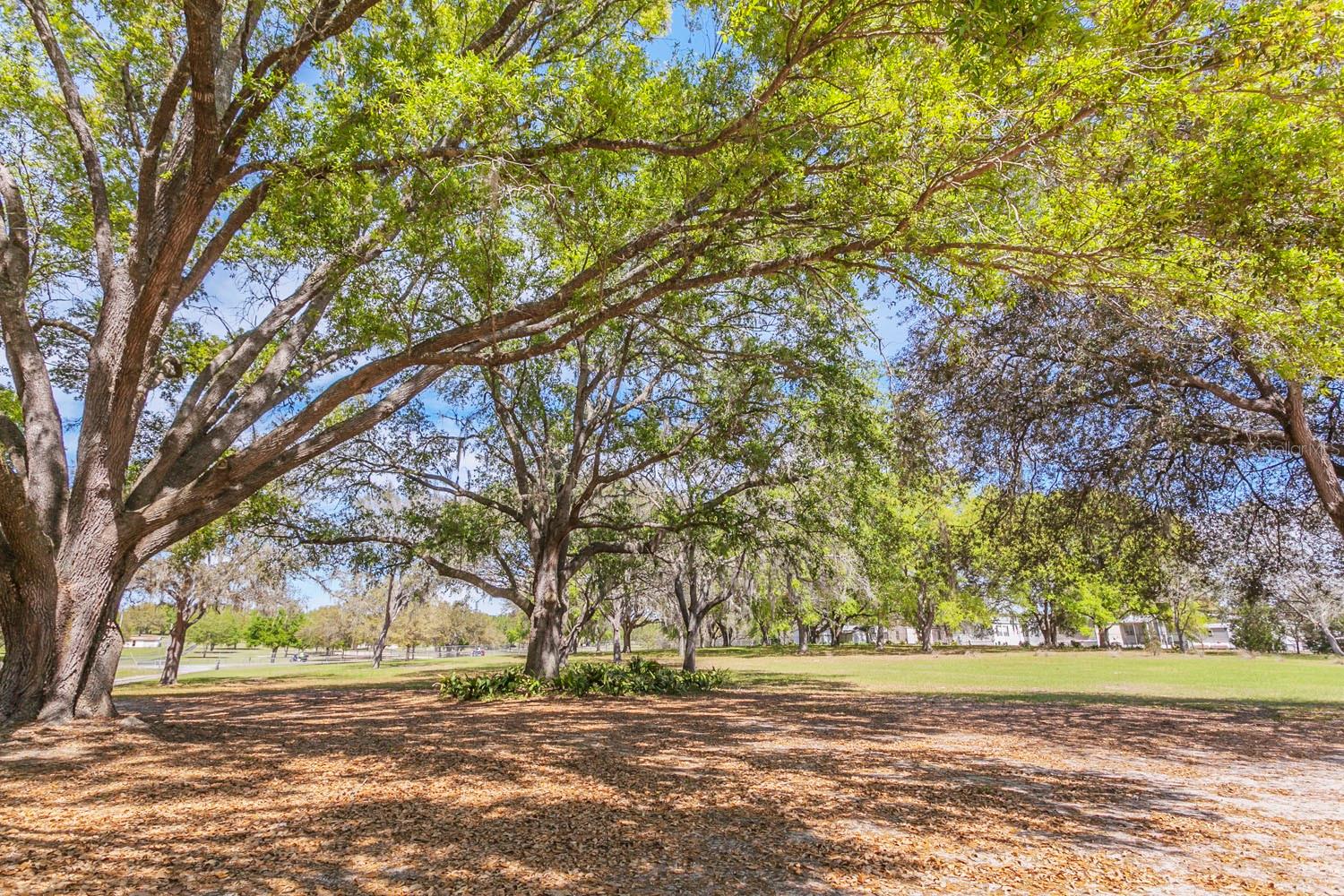 1824 MARION COUNTY RD, WEIRSDALE, FL, 32195