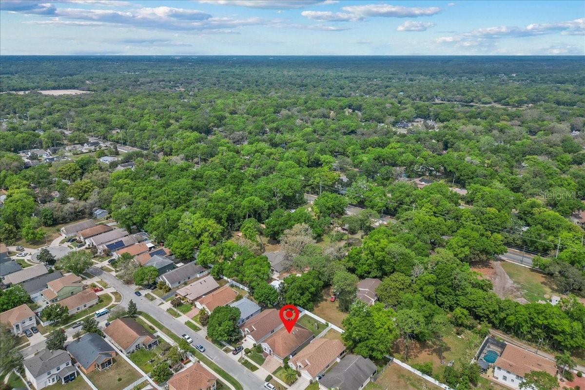 2131 GOLDEN IVY WAY, APOPKA, FL, 32703