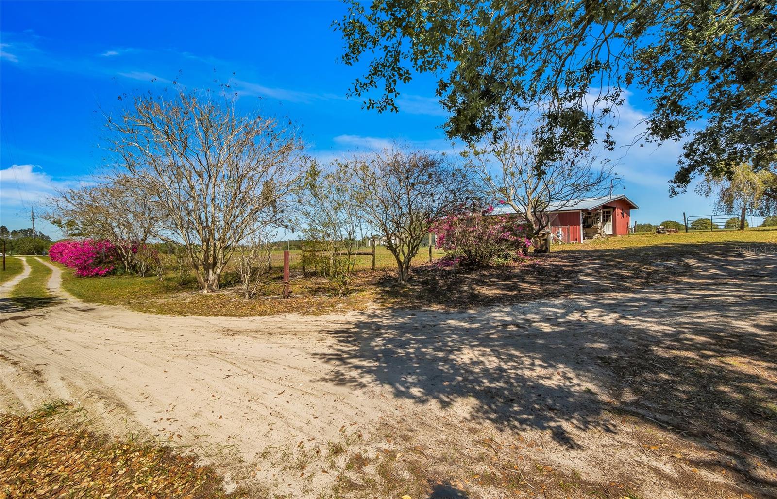 6988 BLUE CEDAR RD, LEESBURG, FL, 34748
