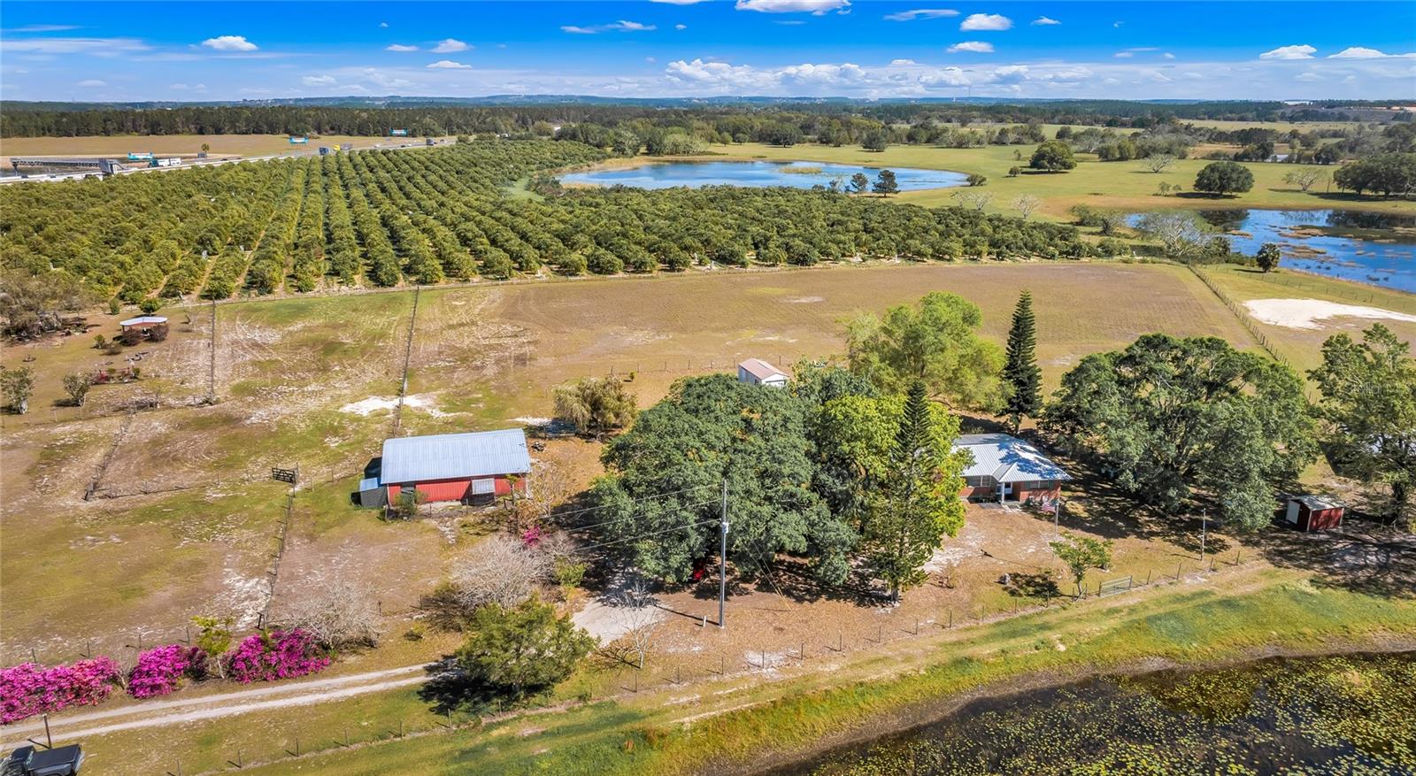 6988 BLUE CEDAR RD, LEESBURG, FL, 34748