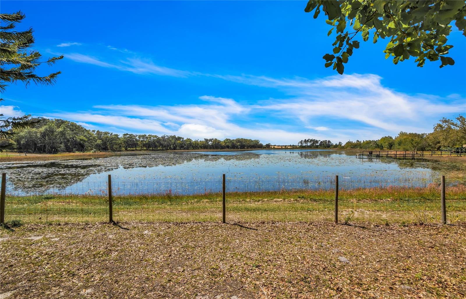 6988 BLUE CEDAR RD, LEESBURG, FL, 34748