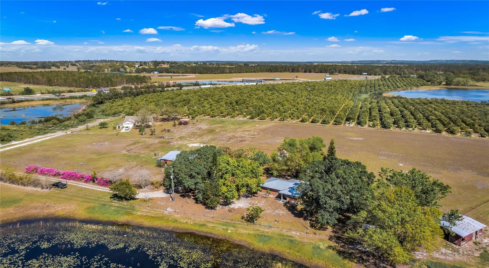 6988 BLUE CEDAR RD, LEESBURG, FL, 34748